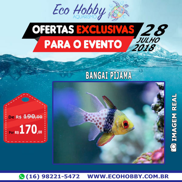 EcoHobby Produto