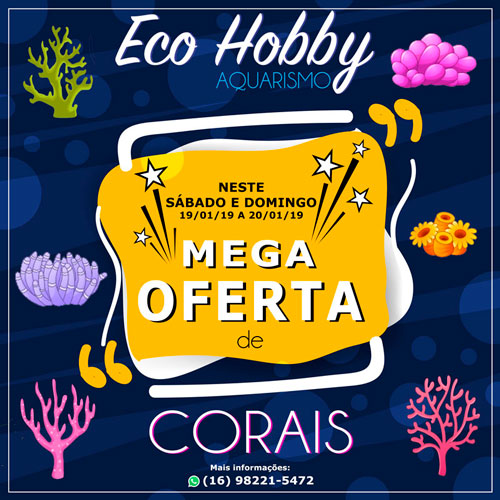 EcoHobby